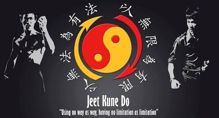 Ebook Võ Triệt Quyền Đạo